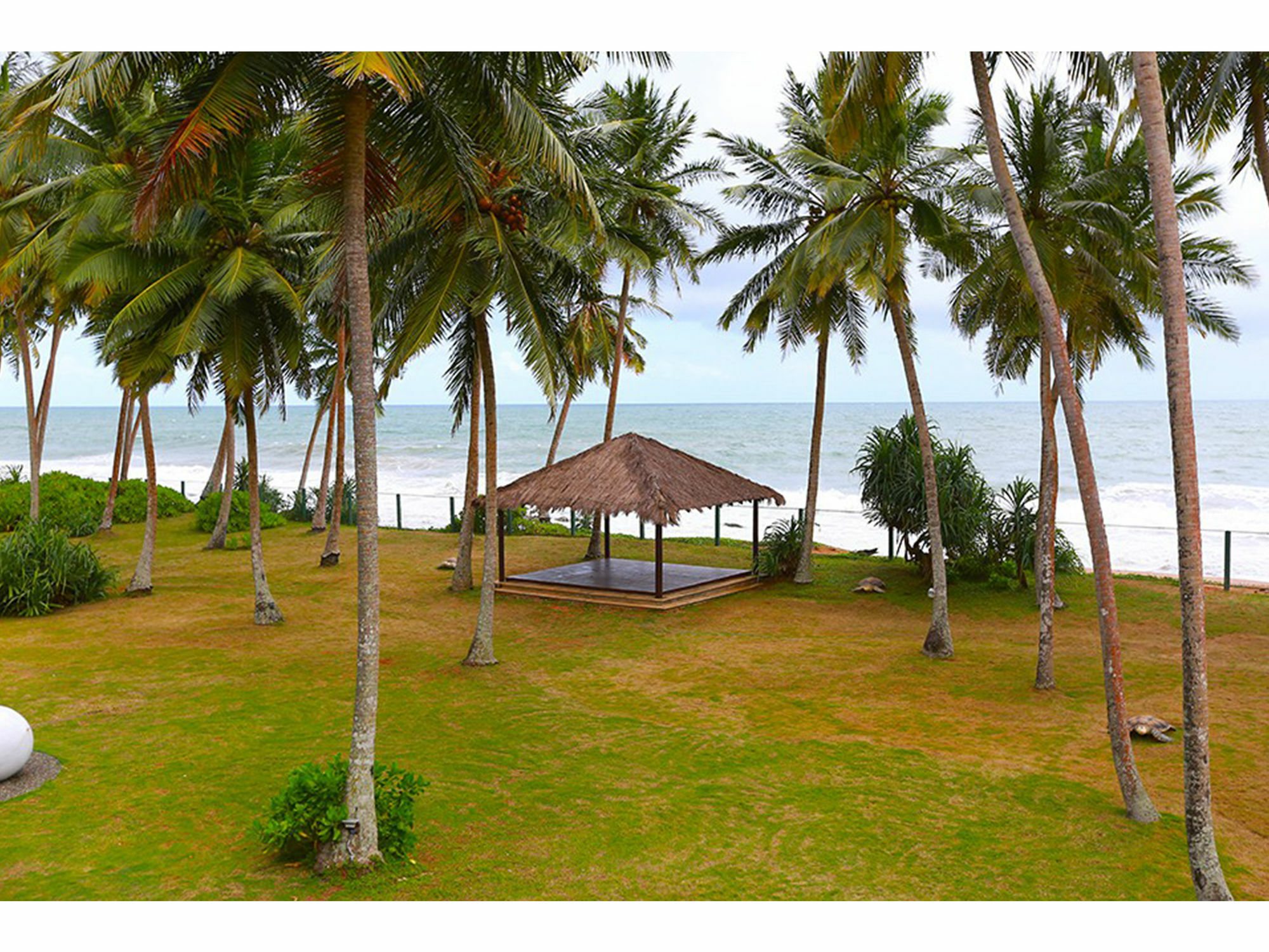 Green Turtle Villa By The Serendipity Collection Bentota Ngoại thất bức ảnh